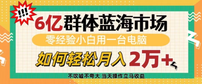6亿群体蓝海市场，零经验小白用一台电脑，如何轻松月入过w【揭秘】-快赚