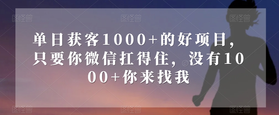 单日获客1000+的好项目,只要你微信扛得住,没有1000+你来找我【揭秘】-快赚