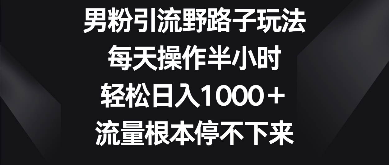 男粉引流野路子玩法,每天操作半小时轻松日入1000+,流量根本停不下来-快赚