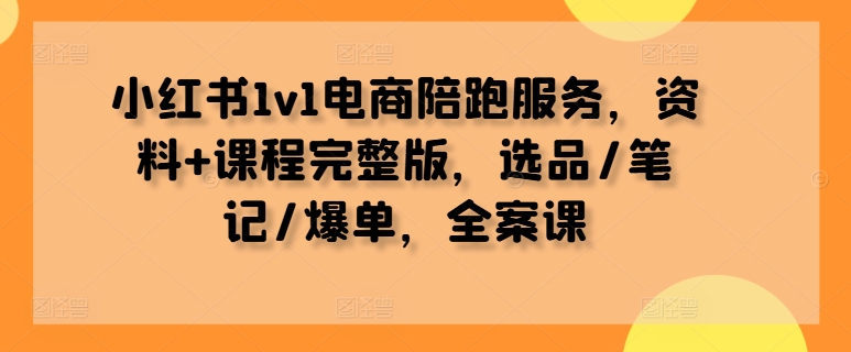 小红书1v1电商陪跑服务,资料+课程完整版,选品/笔记/爆单,全案课-快赚