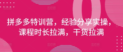 拼多多特训营,经验分享实操,课程时长拉满,干货拉满(更新25年4月)-快赚