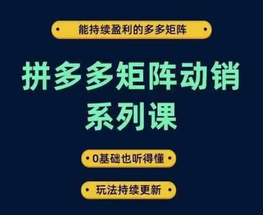 拼多多矩阵动销系列课,能持续盈利的多多矩阵,0基础也听得懂,玩法持续更新-快赚