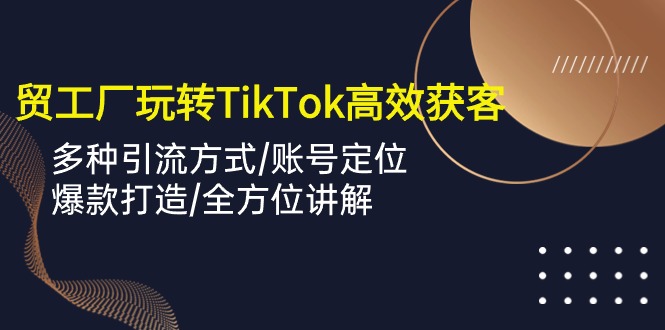 外贸工厂玩转TikTok高效获客，多种引流方式/账号定位/爆款打造/全方位讲解-快赚
