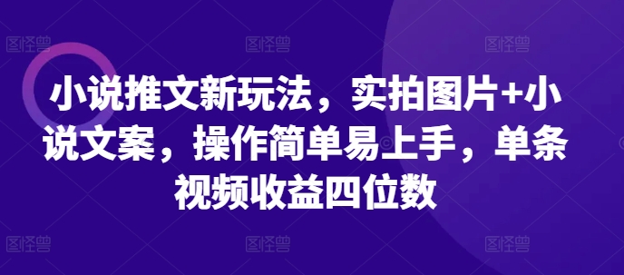 小说推文新玩法,实拍图片+小说文案,操作简单易上手,单条视频收益四位数-快赚