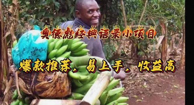 奥德彪经典语录小项目，爆款推荐，易上手，收益高-快赚