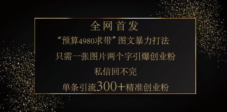 小红书神奇图片引流法,只需一张图,就能单条笔记凭借此方法,轻松引流 300 + 精准创业粉-快赚