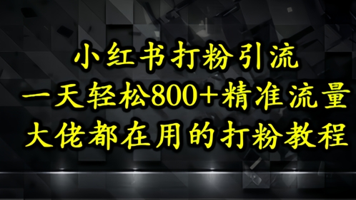 小红书打粉引流，一天轻松500+精准流量，大佬都在用的打粉教程-快赚