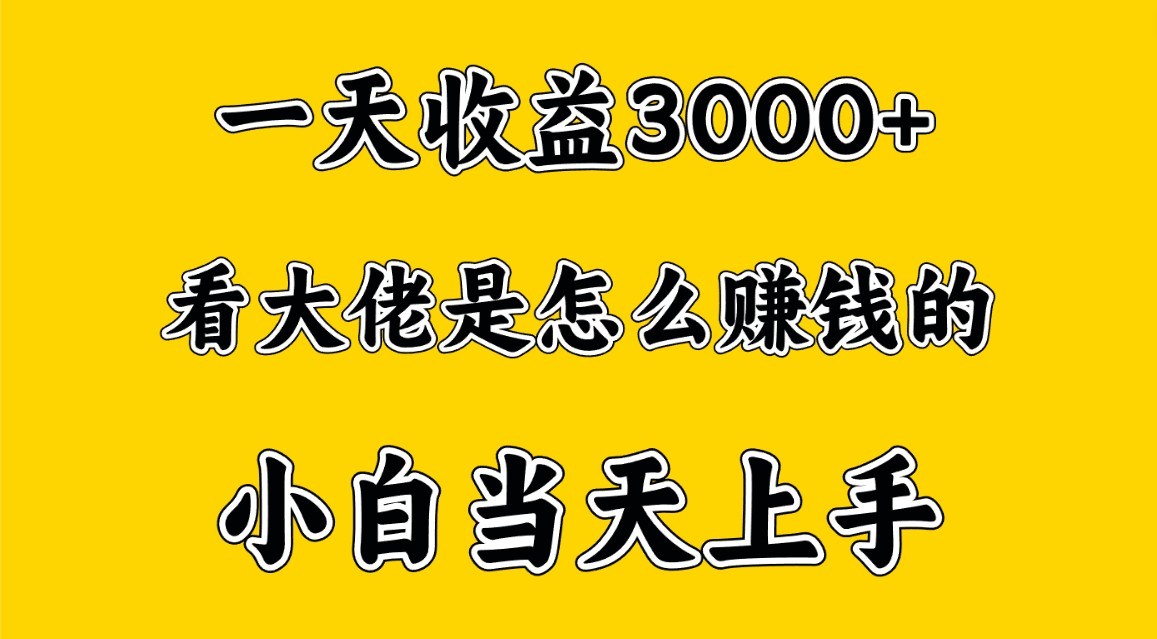 一天赚3000多，大佬是这样赚到钱的，小白当天上手，穷人翻身项目-快赚
