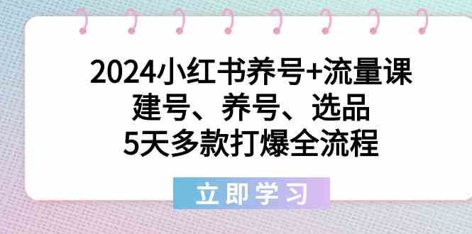 2024小红书养号+流量课：建号、养号、选品，5天多款打爆全流程-快赚