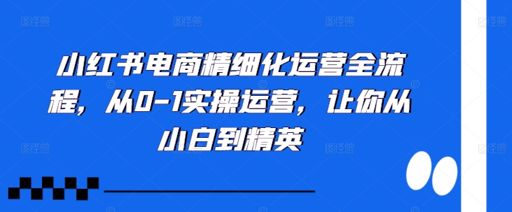 小红书电商精细化运营全流程，从0-1实操运营，让你从小白到精英-快赚