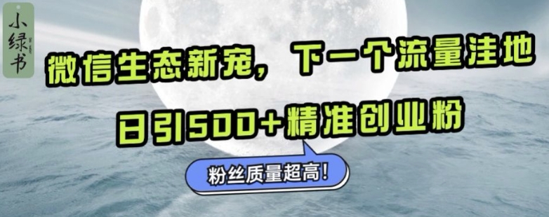 微信生态新宠小绿书:下一个流量洼地,日引500+精准创业粉,粉丝质量超高-快赚