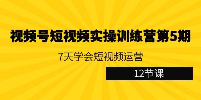 视频号短视频实操训练营第5期：7天学会短视频运营(12节课)-快赚