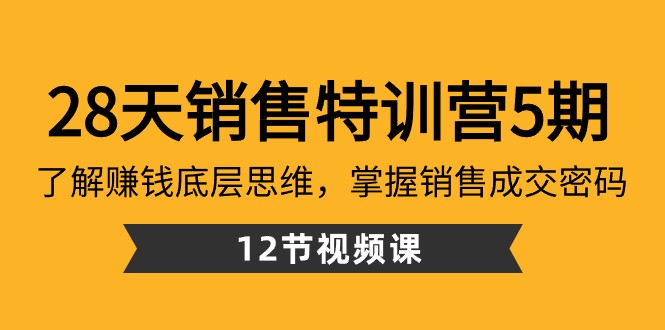 28天销售特训营5期：了解赚钱底层思维，掌握销售成交密码（12节课）-快赚