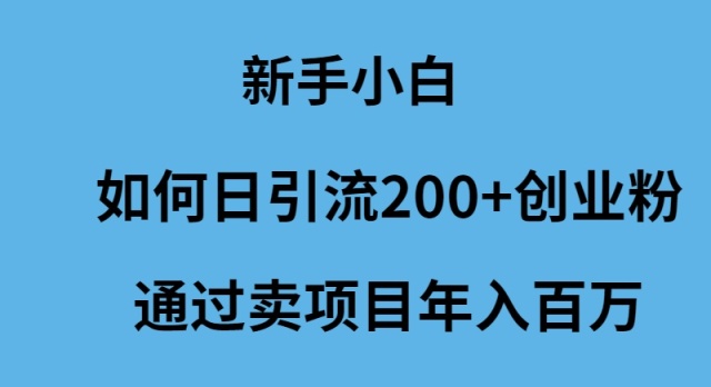 (9668期)新手小白如何日引流200+创业粉通过卖项目年入百万-快赚