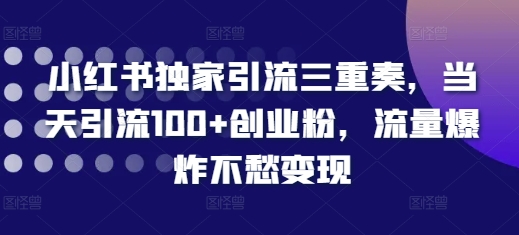 小红书独家引流三重奏,当天引流100+创业粉,流量爆炸不愁变现【揭秘】-快赚