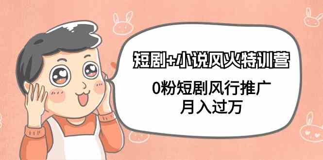 小说+短剧风火特训营，0粉短剧小说风行推广，实现月入过万-快赚