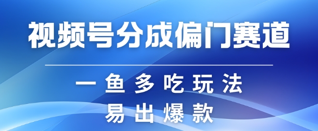 视频号创作者分成计划偏门类目,容易爆流,实拍内容简单易做【揭秘】