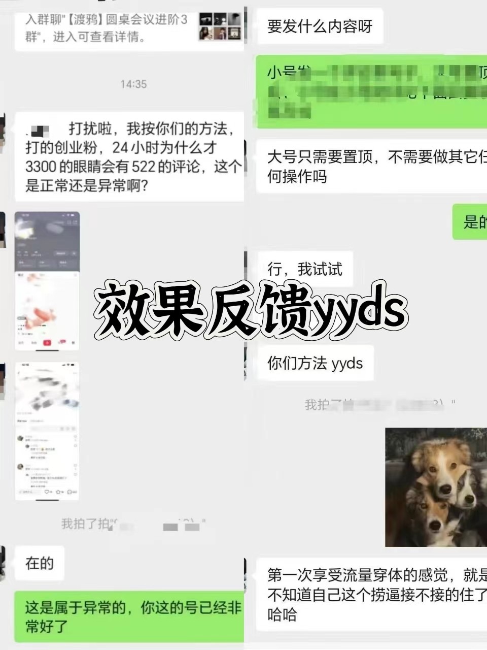 图片[3]-抖音小红书视频号全平台引流打法，全自动引流日引2000+精准客户-快赚