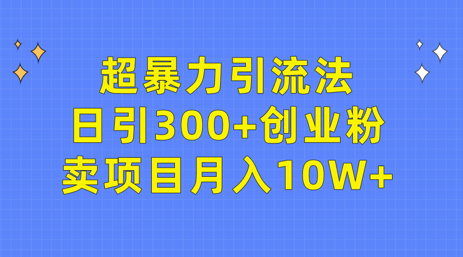 (9954期)超暴力引流法,日引300+创业粉,卖项目月入10W+-快赚