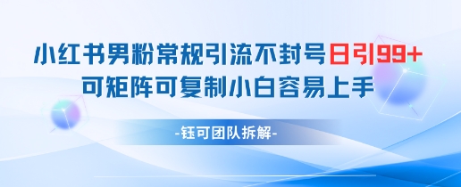 小红书男粉常规引流不封号日引99+变现简单 可矩阵可复制小白容易上手-快赚