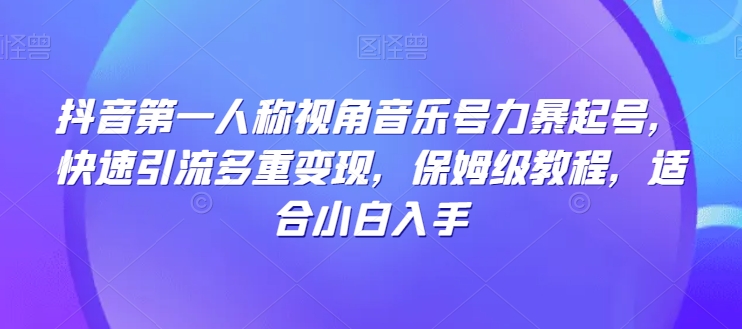 抖音第一人称视角音乐号力暴起号,快速引流多重变现,保姆级教程,适合小白入手-快赚