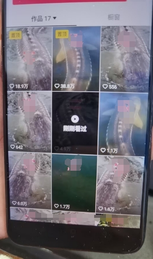 外面卖399的国学佛像原创暴力起号技术，快速起号，7天可达到一个万粉号-快赚