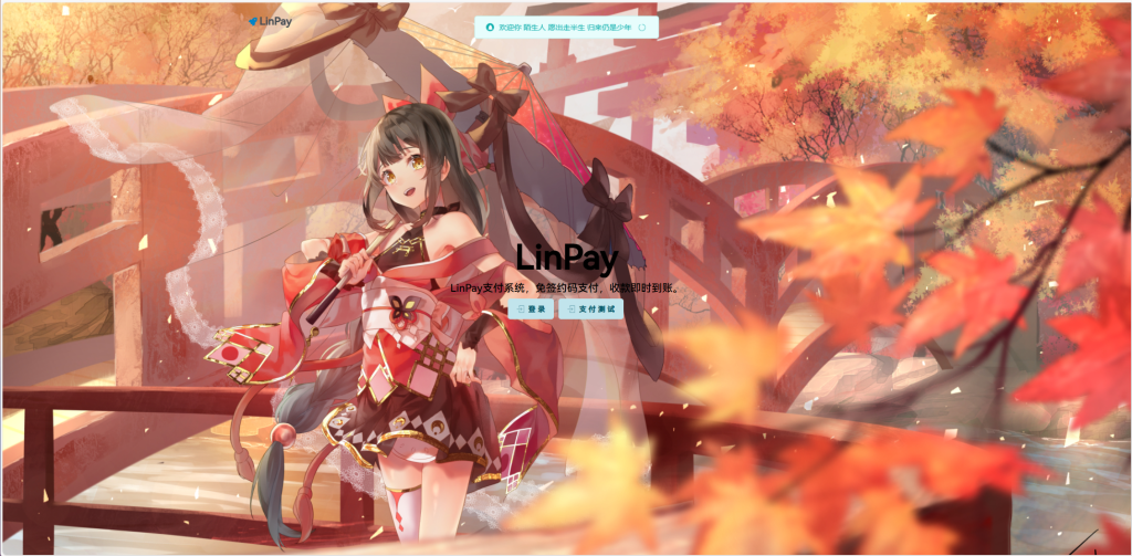 2024首发最新LinPay码支付免授权版,LinPay码支付官网,码支付,源支付-快赚