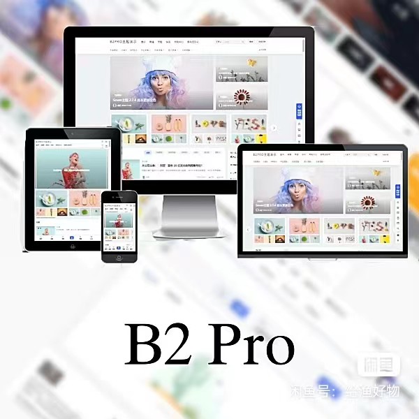 WordPress B2 Pro 主题5.2.0最新开心版,附带官方包体与授权文件-快赚