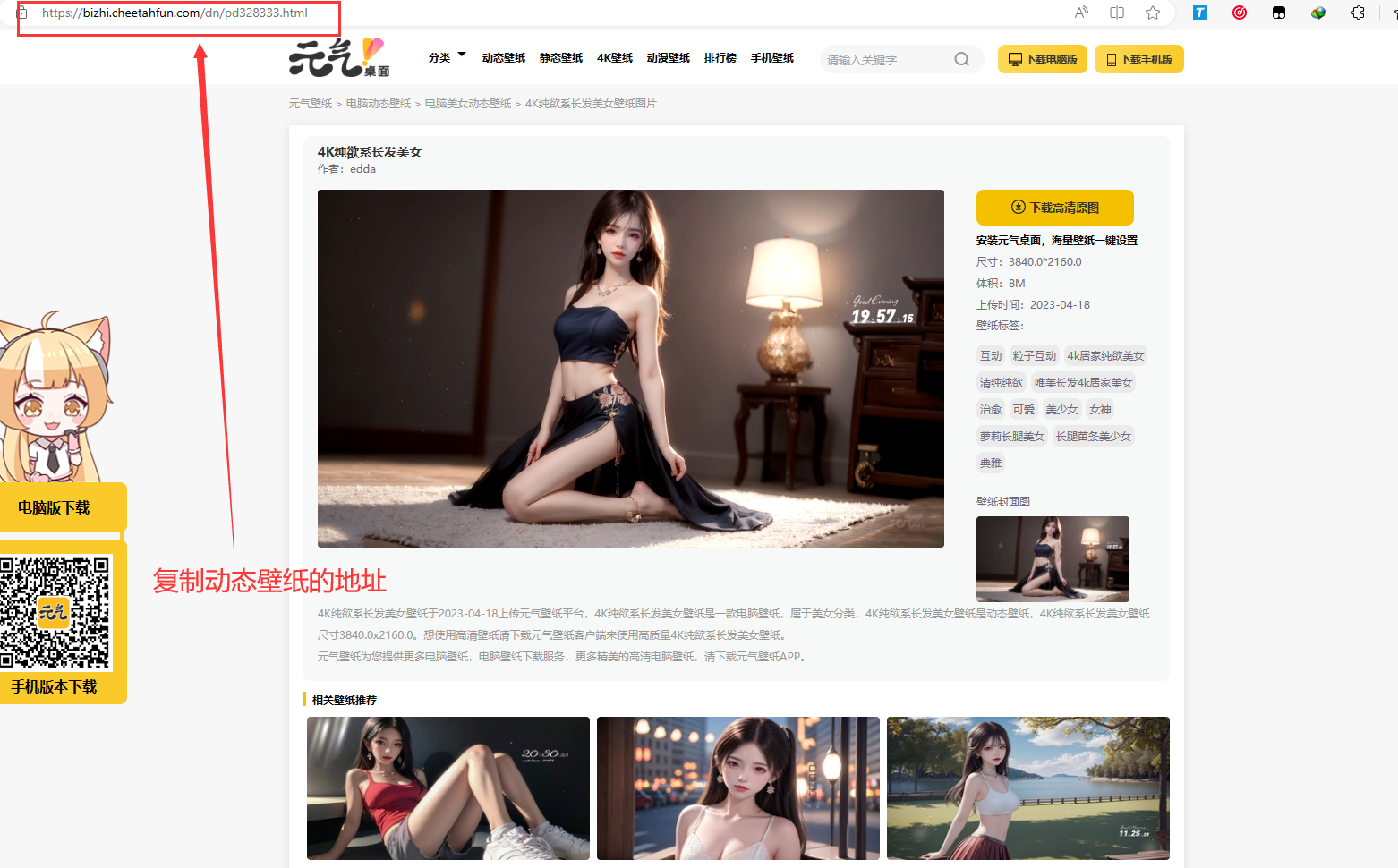 PHP电脑元气动态壁纸在线下载源码-快赚