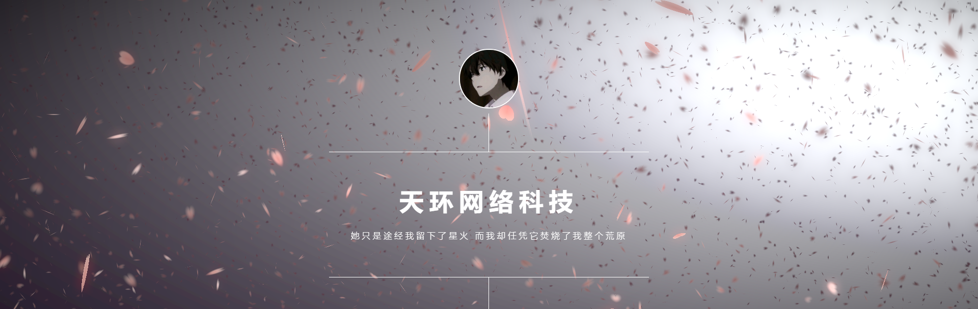 超级好看动态视频官网源码-快赚